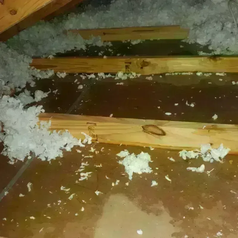 Attic Water Damage in Cuba, NY